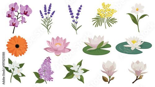 Elegant collection of colorful flowers features various species like orchids, lavender, lilies, and magnolias in a set.
