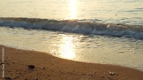 Golden hour sunset reflection on beach shore