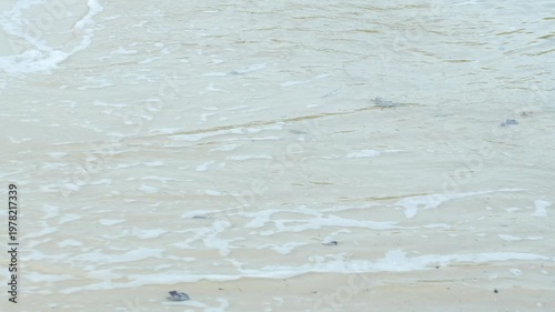 Smooth Ocean Waves Gently Washing Over White Sand Beach