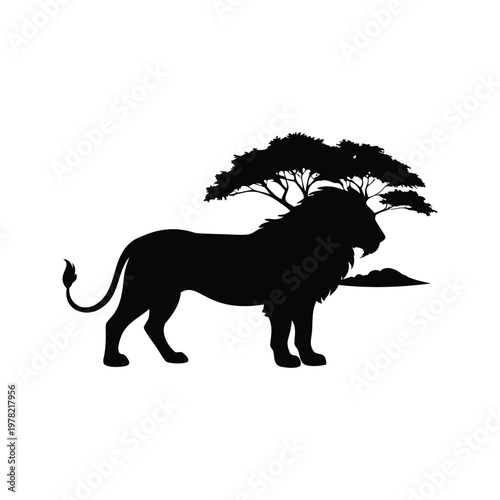 Silhouette of a majestic lion with acacia tree vector illustration design, lion in savanna setting silhouette vector illustration