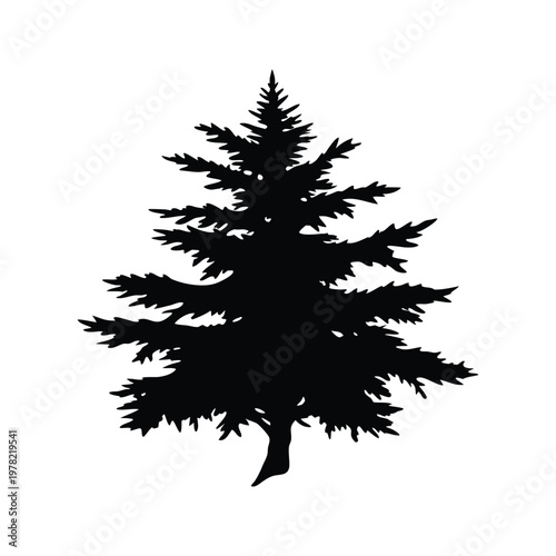Silhouette of a tall pine tree with branches spreading out, vector illustration design, cedar branch silhouette vector illustration