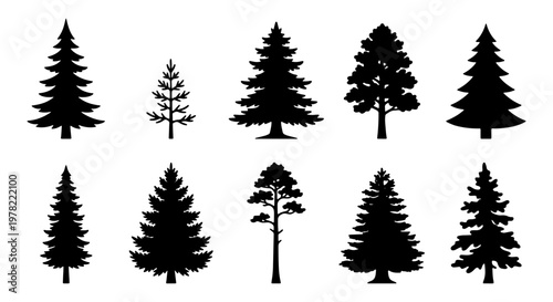 Pine tree silhouette collection, 10 evergreen forest conifer icons, black spruce and fir tree vector set, minimalist woodland nature elements