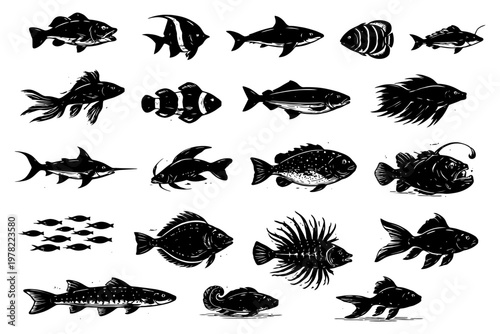 Silhouettes of various fish species and aquatic life forms.
