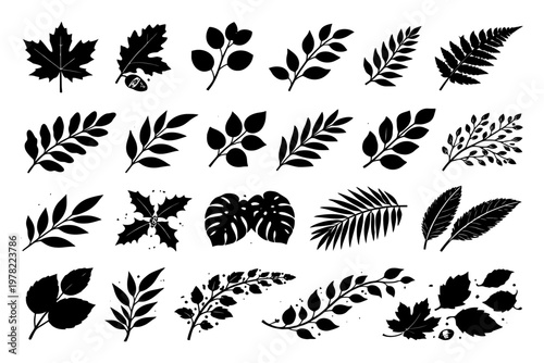 Collection of various leaf silhouettes in black and white.
