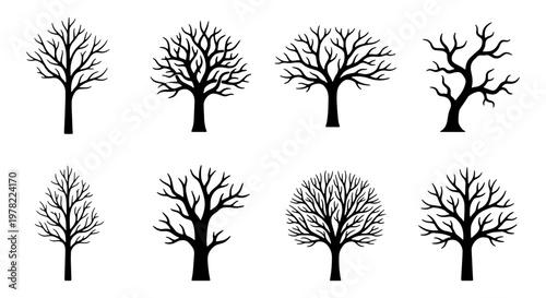 Black tree silhouettes set, 8 bare winter trees with leafless branches, minimalist forest plant vector icons for landscape design and spooky decor