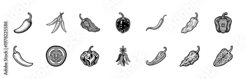 Spicy Chili Pepper Monolinear Graphic Sheet