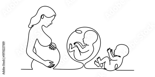 A single line art drawing depicting the stages of pregnancy from mother to baby in one flow Vector, illustration