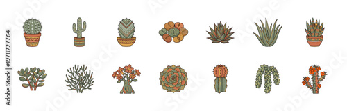 Cactus and Succulent Botanical Vector Set