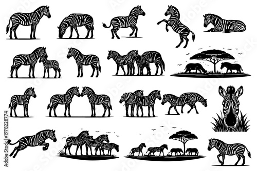 Silhouetted zebra patterns: african wildlife in various poses and group formations.