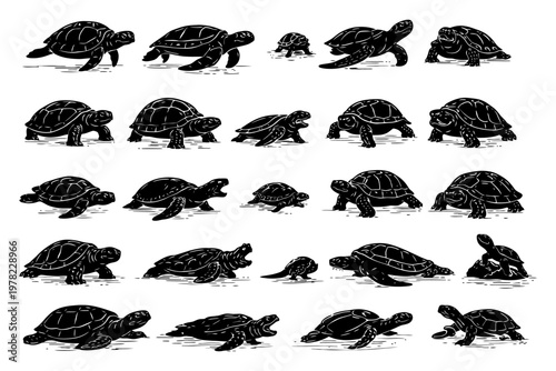 Collection of diverse sea turtles in various poses and movements.