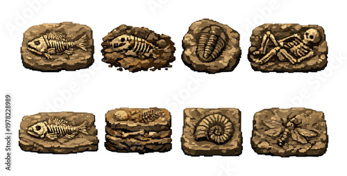 Stone fossil tiles depicting animal skeletons on dark background
