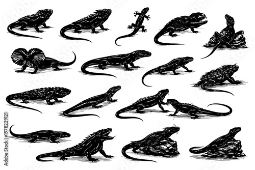 Silhouette reptile collection: diverse lizards and iguanas in various poses.