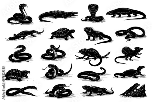 Black silhouettes of reptiles and amphibians: snakes, lizards, turtles, crocodile.