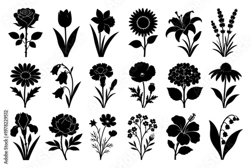 Silhouettes of various flowers including tulip, rose, and sunflower.