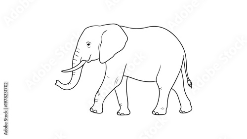 simple elephant line art vector illustration on white background