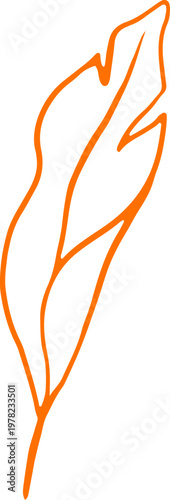 Simple hand drawn linear leaf. Vintage botanical doodle and line art illustration.