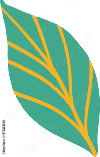 Tropical colorful jungle leaf. Exotic summer illustration and graphic element.