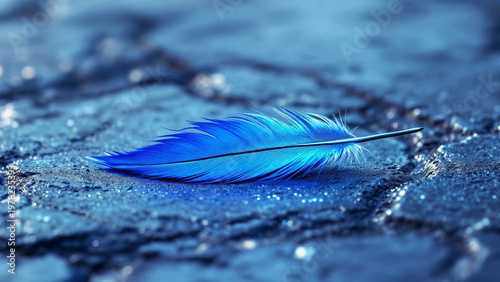 Single blue feather lying on wet textured surface outdoors