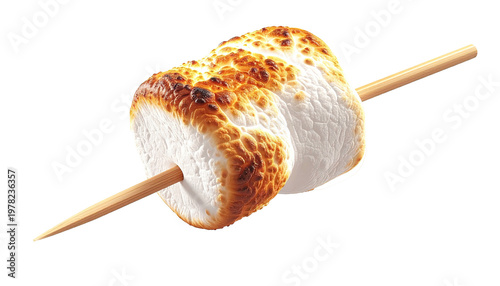 Toasted marshmallow on a stick against black backdrop offers a sweet treat element