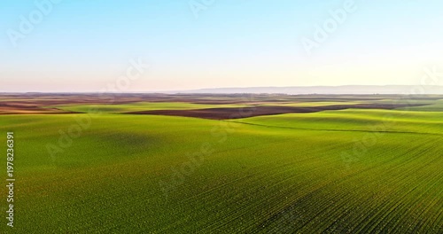 Aerial view of green rolling hills in palouse