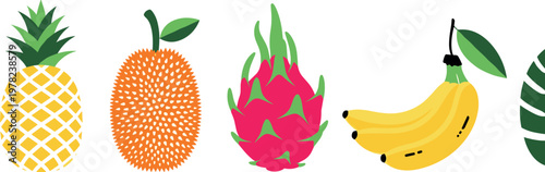 Colorful tropical fruit vector illustration set featuring pineapple jackfruit dragon fruit bananas and exotic summer flat design elements