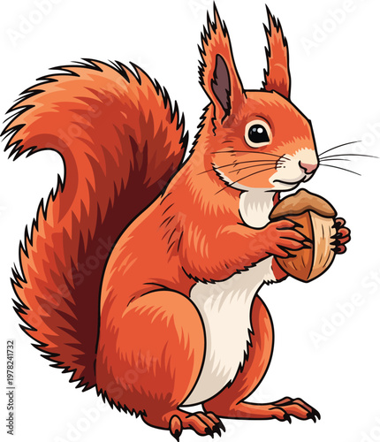 A red squirrel holding a nut in its front paws vector illustration