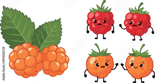 Cute berry characters vector illustration set featuring smiling raspberry cloudberry fruits with leaves and cartoon faces isolated on white background