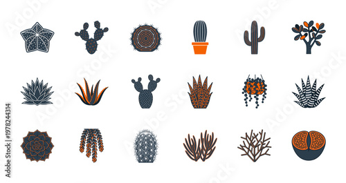Modern Cactus and Succulent Asset Kit