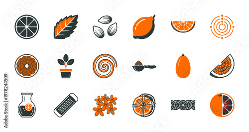 Modern Citrus Fruit Geometric Asset Set