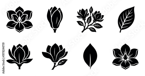 Set of elegant black magnolia flower icons with blooming flowers, buds, leaves, and branches presented in a clean, minimalist silhouette vector style
