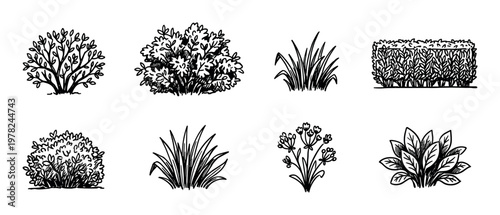 Various hand drawn garden plants and shrubs collection showcasing different types of foliage and greenery in a simple doodle style illustration.