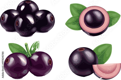 Acai berry illustration set with whole fruits, leaves and sliced pieces isolated on white background, superfood antioxidant vector design