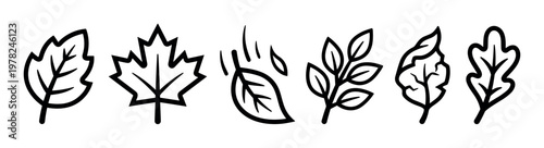 Various black outline leaf icons representing different tree species and seasonal changes, perfect for nature-themed designs and autumnal concepts.