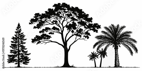 Black silhouette forest trees set including pines and palms with silhouette landscape botanical woodland illustration isolated collection environment branches background