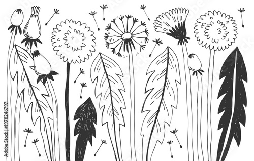 Plants and flowers doodles set. Floral elements, dandelions, hand drawn simple illustration of spring flowers, leaves and plants.