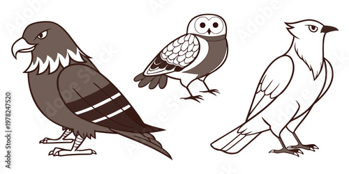 Graphic illustration collection of birds of prey and owl with predator wildlife illustration monochrome creature birdwatching ornithology predatory collection isolated