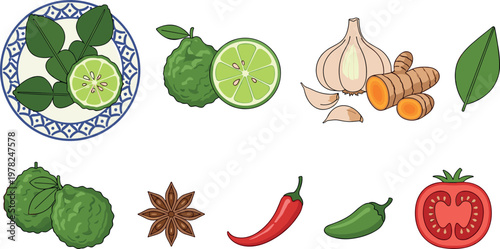 Asian herbs and spices vector illustration set featuring kaffir lime turmeric garlic chili star anise and fresh ingredients isolated on white