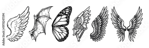 Various hand drawn wings collection featuring different styles and designs including angelic, bat, butterfly, and steampunk elements.