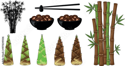 Bamboo and bamboo shoot vector illustration set featuring edible shoots forest plants chopsticks and traditional Asian food elements isolated on white background