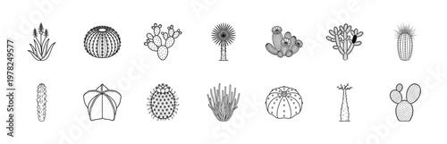 Minimalist Desert Cacti Botanical Asset Set