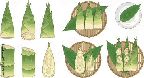 Bamboo shoot illustration set with fresh whole sliced pieces and traditional serving plates hand drawn food vector collection