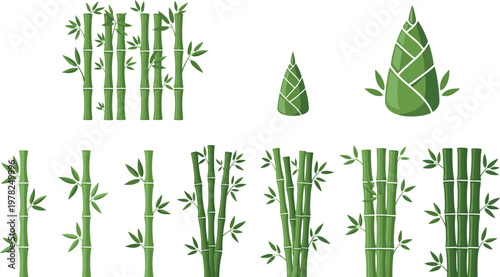 Bamboo stems and leaves vector illustration set with green stalk bundles and simple leaf icons botanical design isolated on white