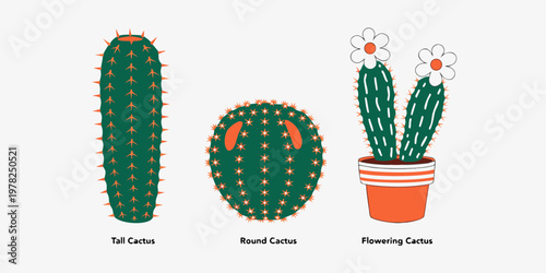 Set of decorative cactus plants with spiky texture and flower blossoms succulent botanical illustration flowering collection minimalist isolated background houseplant blooming