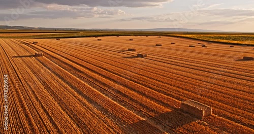 Aerial view of harvested wheat field at sunset