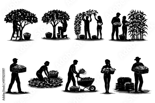 Silhouette farmers harvesting crops in diverse agricultural activities.