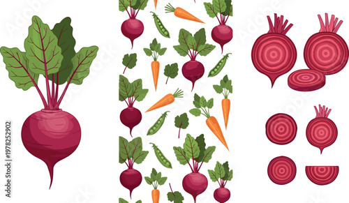 Beetroot and carrot vector illustration set featuring fresh root vegetables slices patterns and leafy tops isolated on white background