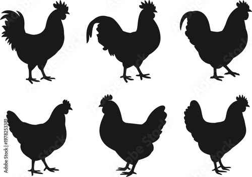 Chicken and rooster silhouettes set with various farm bird poses, poultry and livestock isolated vector design