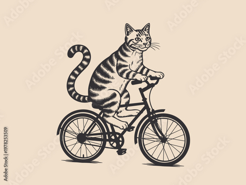 Tabby cat riding a bicycle cycling animal