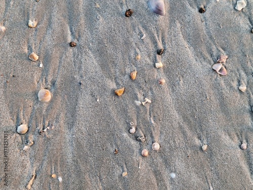 Textured Sands and Shells: A close-up view reveals intricate patterns of sand and scattered shells, creating a captivating display of nature's artistry on the seashore.