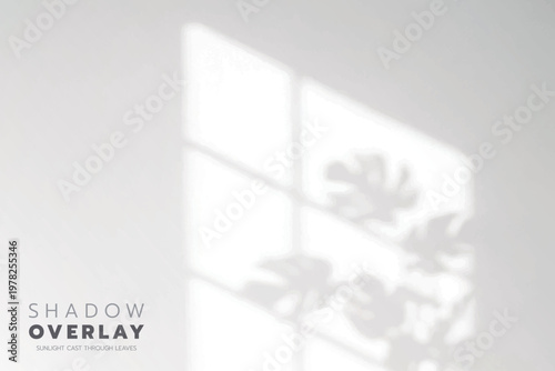 Soft leaf shadows cast on a bright, clean background. The natural sunlight creates an elegant, minimalistic overlay effect, perfect for use in design projects, presentations, social media graphics